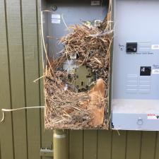 Electrical panel troubleshooting in longmont 1